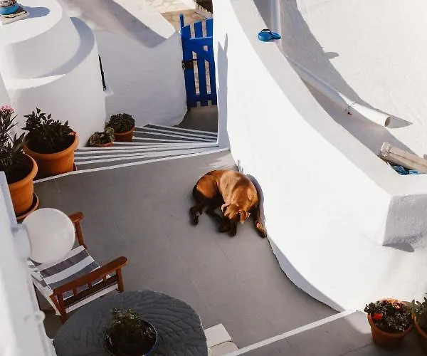 Boreas Stone House Anafi